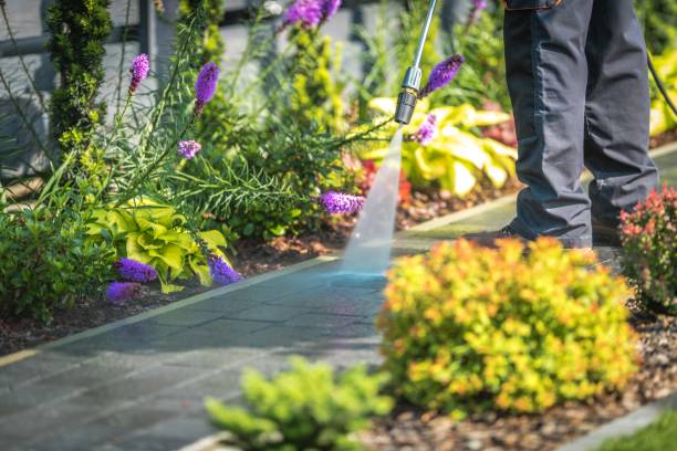 Trusted Avalon, NJ Pressure Washing Services Experts
